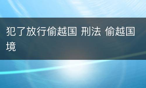 犯了放行偷越国 刑法 偷越国境