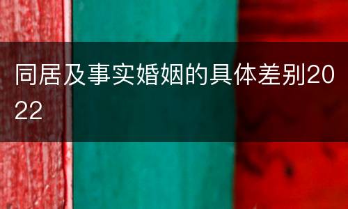 同居及事实婚姻的具体差别2022