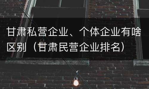 甘肃私营企业、个体企业有啥区别（甘肃民营企业排名）