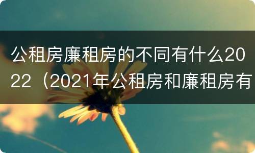 公租房廉租房的不同有什么2022（2021年公租房和廉租房有什么区别）