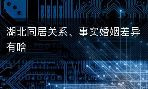 湖北同居关系、事实婚姻差异有啥