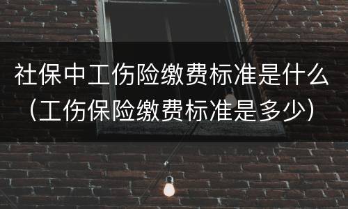 社保中工伤险缴费标准是什么（工伤保险缴费标准是多少）