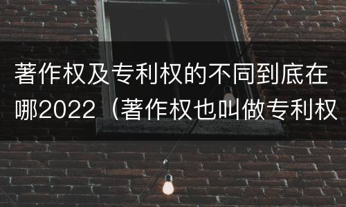 著作权及专利权的不同到底在哪2022（著作权也叫做专利权吗）