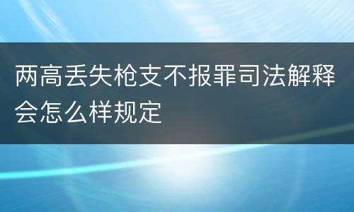 两高丢失枪支不报罪司法解释会怎么样规定