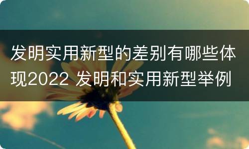 发明实用新型的差别有哪些体现2022 发明和实用新型举例