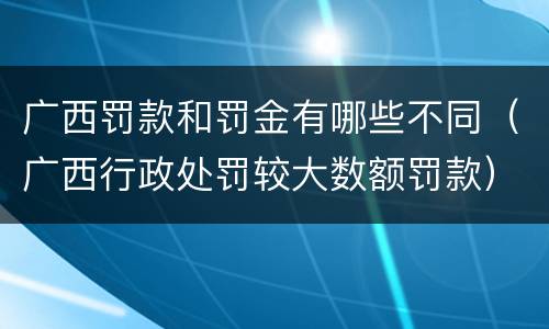 广西罚款和罚金有哪些不同（广西行政处罚较大数额罚款）