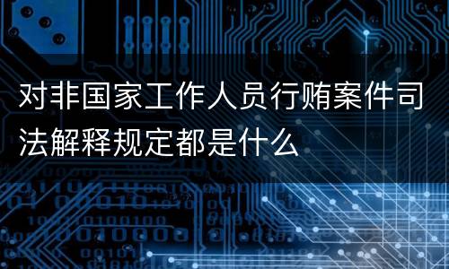 对非国家工作人员行贿案件司法解释规定都是什么