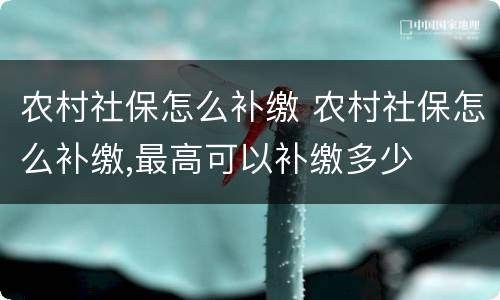 农村社保怎么补缴 农村社保怎么补缴,最高可以补缴多少