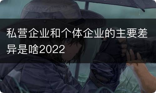 私营企业和个体企业的主要差异是啥2022