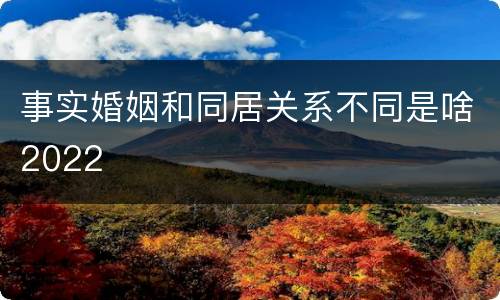 事实婚姻和同居关系不同是啥2022