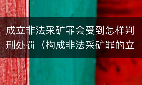 成立非法采矿罪会受到怎样判刑处罚（构成非法采矿罪的立案标准）