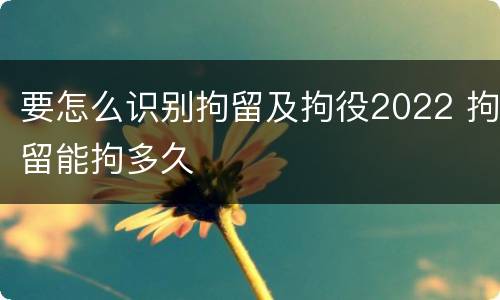 要怎么识别拘留及拘役2022 拘留能拘多久