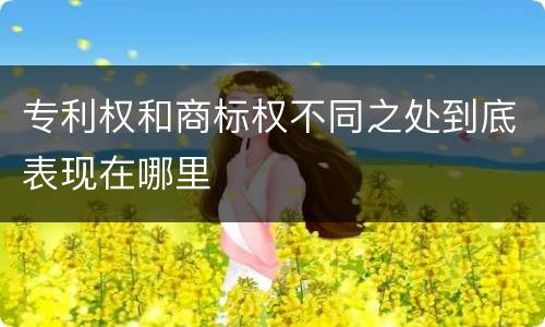 专利权和商标权不同之处到底表现在哪里