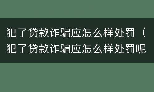 犯了贷款诈骗应怎么样处罚（犯了贷款诈骗应怎么样处罚呢）