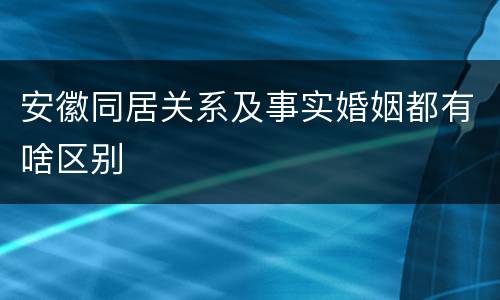 安徽同居关系及事实婚姻都有啥区别