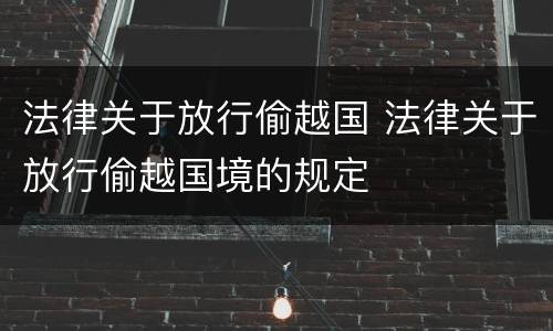 法律关于放行偷越国 法律关于放行偷越国境的规定