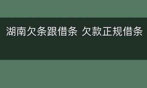 湖南欠条跟借条 欠款正规借条