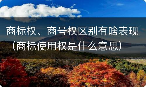 商标权、商号权区别有啥表现（商标使用权是什么意思）