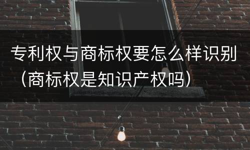 专利权与商标权要怎么样识别（商标权是知识产权吗）