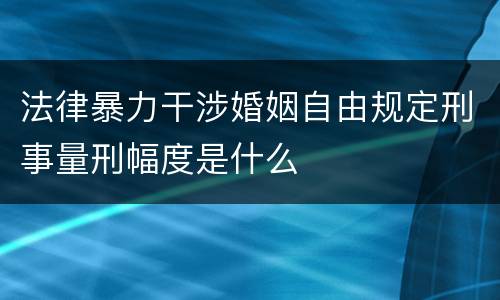 法律暴力干涉婚姻自由规定刑事量刑幅度是什么