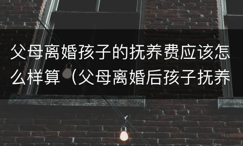 父母离婚孩子的抚养费应该怎么样算（父母离婚后孩子抚养费标准的法律依据）