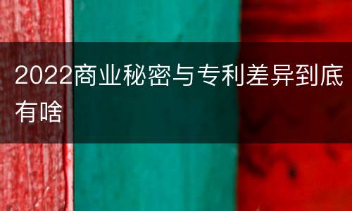 2022商业秘密与专利差异到底有啥