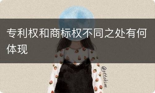 专利权和商标权不同之处有何体现