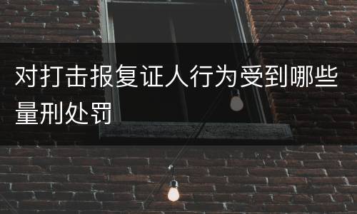 对打击报复证人行为受到哪些量刑处罚