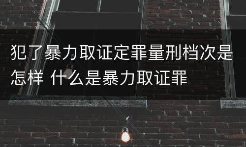 犯了暴力取证定罪量刑档次是怎样 什么是暴力取证罪