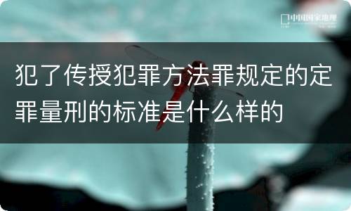 犯了传授犯罪方法罪规定的定罪量刑的标准是什么样的