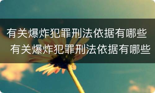 有关爆炸犯罪刑法依据有哪些 有关爆炸犯罪刑法依据有哪些法律规定