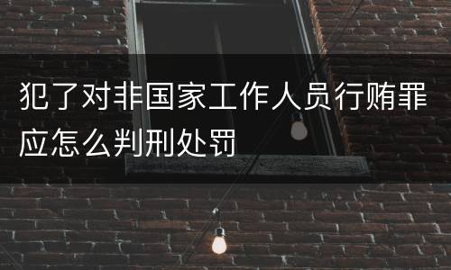 犯了对非国家工作人员行贿罪应怎么判刑处罚