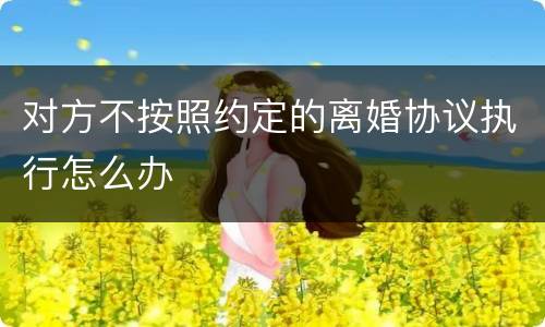 对方不按照约定的离婚协议执行怎么办