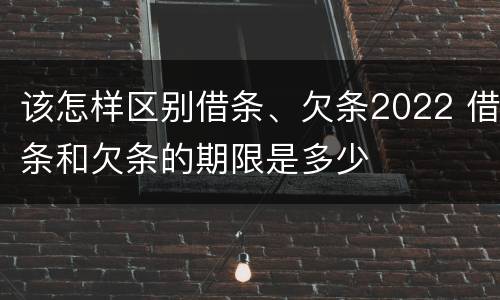 该怎样区别借条、欠条2022 借条和欠条的期限是多少