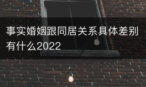 事实婚姻跟同居关系具体差别有什么2022