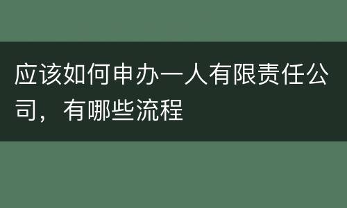 应该如何申办一人有限责任公司，有哪些流程