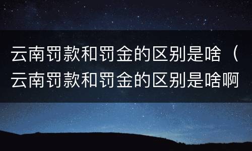 云南罚款和罚金的区别是啥（云南罚款和罚金的区别是啥啊）