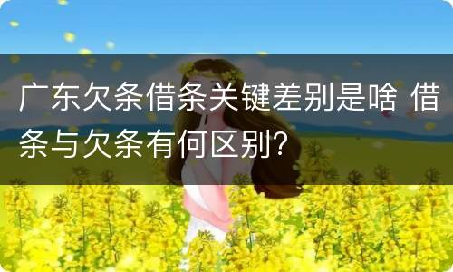 广东欠条借条关键差别是啥 借条与欠条有何区别?