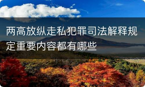 两高放纵走私犯罪司法解释规定重要内容都有哪些