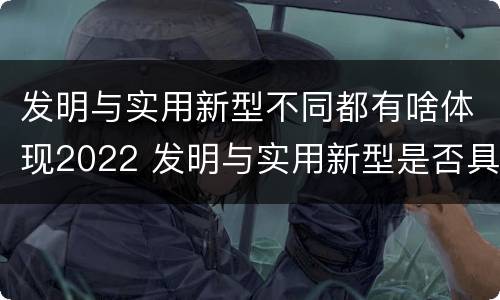 发明与实用新型不同都有啥体现2022 发明与实用新型是否具有实用性