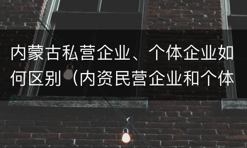 内蒙古私营企业、个体企业如何区别（内资民营企业和个体户）