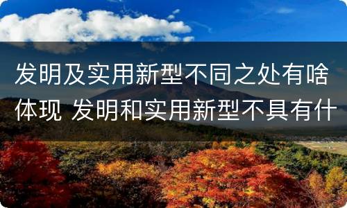 发明及实用新型不同之处有啥体现 发明和实用新型不具有什么特性