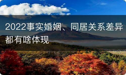 2022事实婚姻、同居关系差异都有啥体现