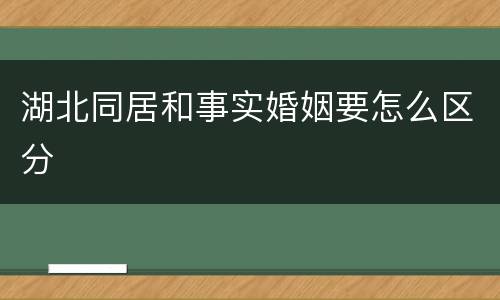 湖北同居和事实婚姻要怎么区分