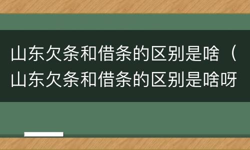 山东欠条和借条的区别是啥（山东欠条和借条的区别是啥呀）