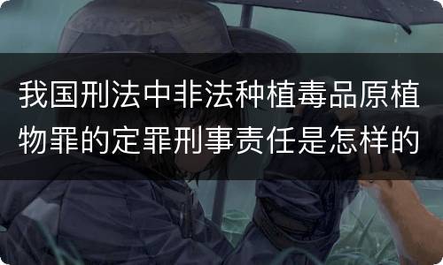 我国刑法中非法种植毒品原植物罪的定罪刑事责任是怎样的