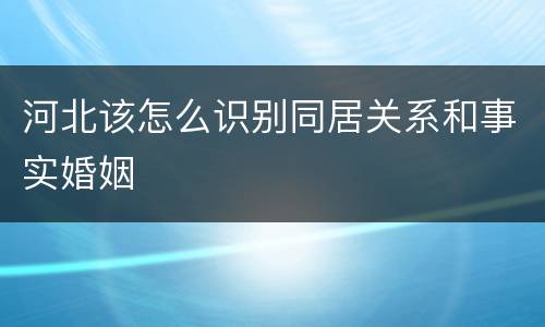 河北该怎么识别同居关系和事实婚姻