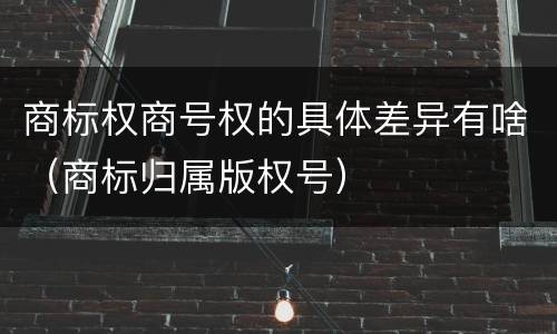 商标权商号权的具体差异有啥（商标归属版权号）