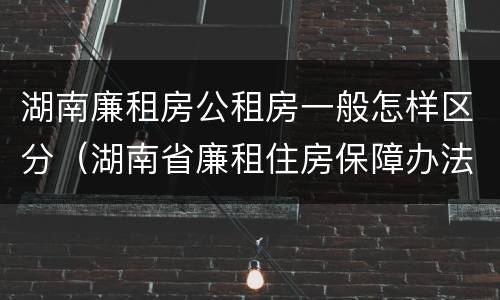 湖南廉租房公租房一般怎样区分（湖南省廉租住房保障办法）