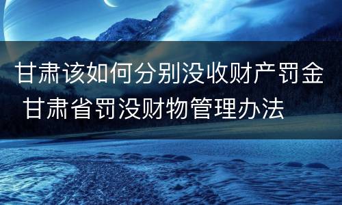 甘肃该如何分别没收财产罚金 甘肃省罚没财物管理办法